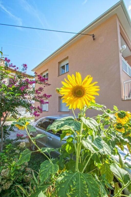 Apartman Studio Nena Crikvenica Zewnętrze zdjęcie